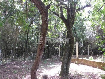 land_lot em Estrada São Caetano, Lami - Porto Alegre - RS
