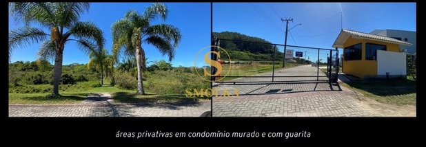 land_lot em Rua do Lamim, Canasvieiras - Florianópolis - SC