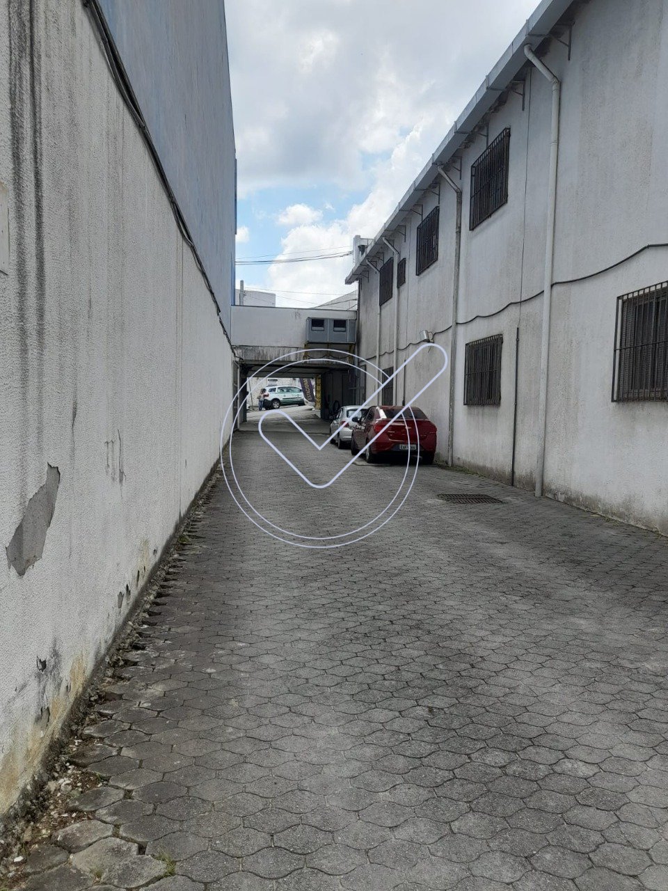 WhatsApp Image 2024-08-23 at 14.43