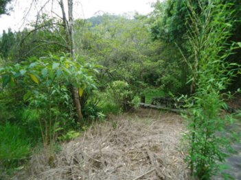 agricultural em Avenida Antonio Pannellini, Taboão - São Roque - SP