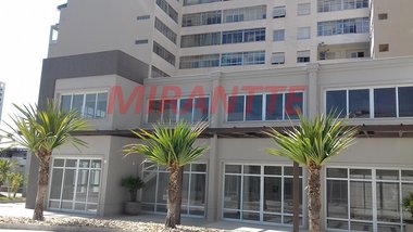 office em Clélia, Água Branca - São Paulo - SP