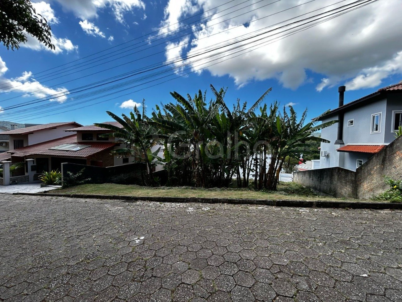 WhatsApp Image 2025-10-25 at 13.59