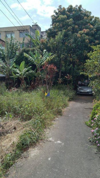 land_lot em Rua Felício Marcondes, Centro - Guarulhos - SP