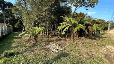 land_lot em Severino Inocente Zini, Jardim Mariana - Canela - RS