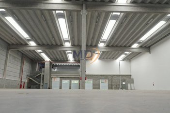 industrial em Ioneji Matsubayashi., Colônia (Zona Leste) - São Paulo - SP