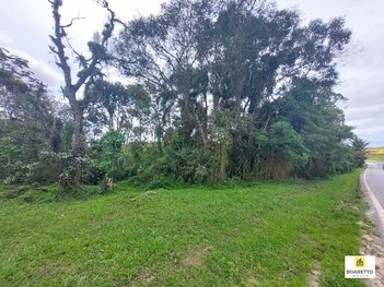 commercial_building em BR-101, Corveta - Araquari - SC