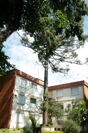 apartment em Avenida Francisco Massena Vieira, Santa Tereza - Porto Alegre - RS