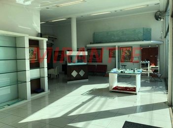 business em Batista Caetano, Aclimação - São Paulo - SP