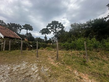 land_lot em Rua Bromélias, Alto da Boa Vista - Campos do Jordão - SP