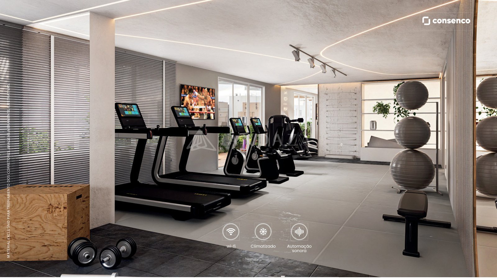 Fitness - perspectiva ilustrada