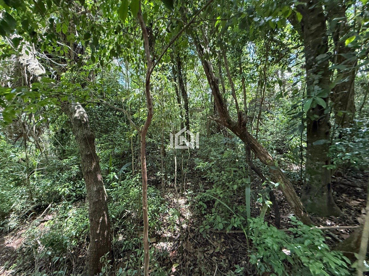 terreno a venda no condominio paisagem renoir ii e iii