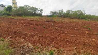 land_lot em Rua Lindolfo Correia de Menezes, Araras - Chapecó - SC