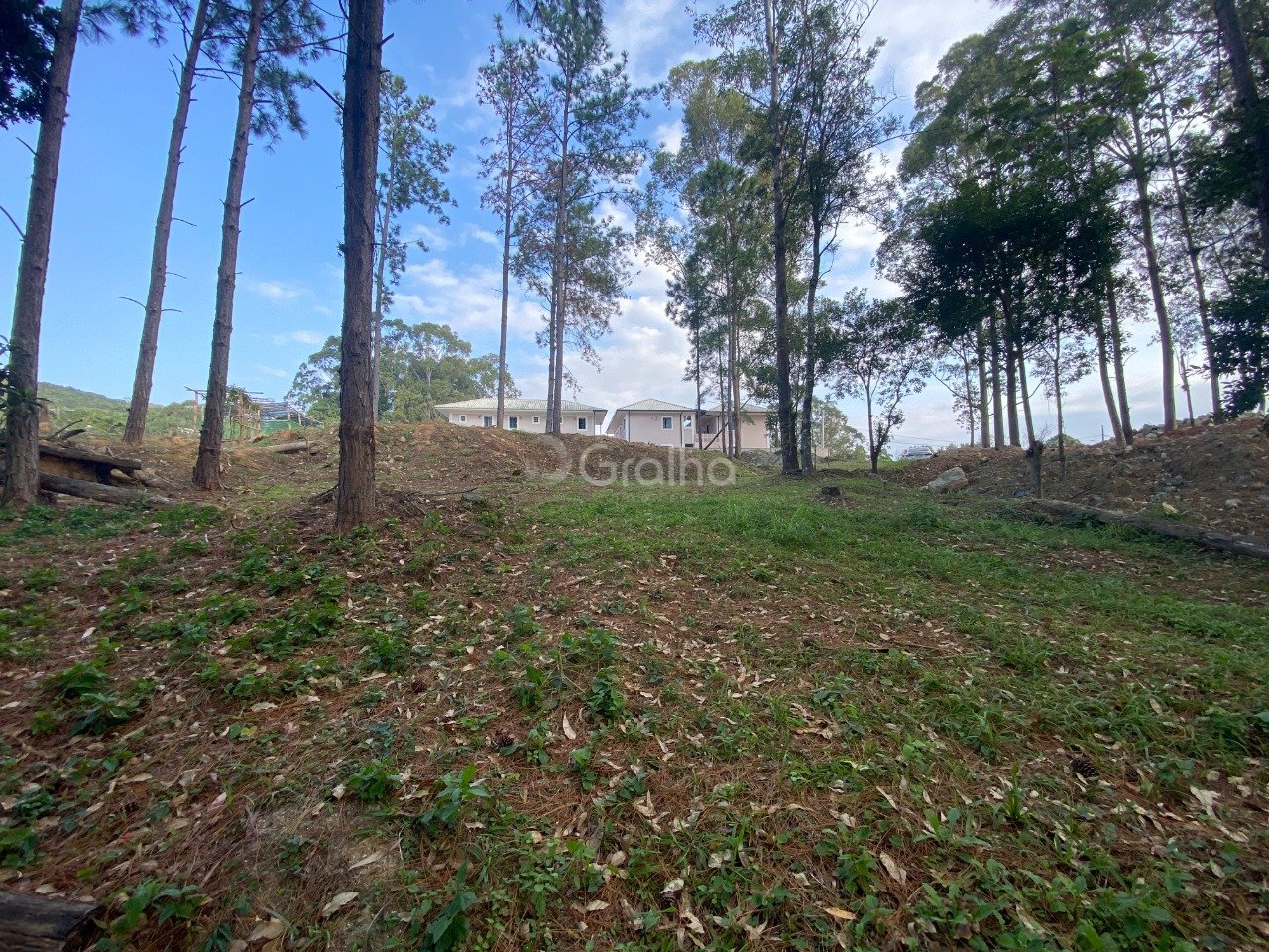 Foto 02