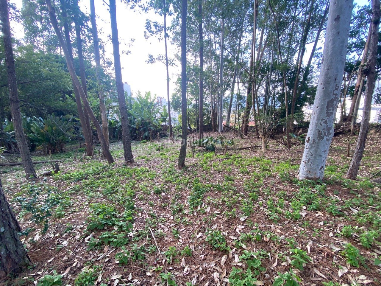 Foto 03
