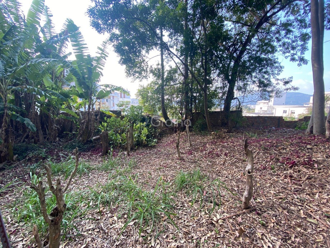 Foto 05