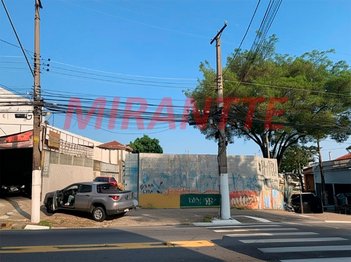 commercial_land_lot em Guapira, Tucuruvi - São Paulo - SP