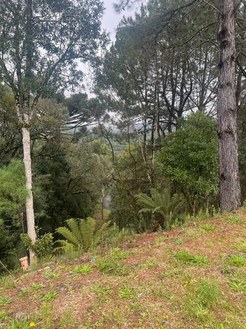 land_lot em Rua Waldi Kich, Dutra - Gramado - RS