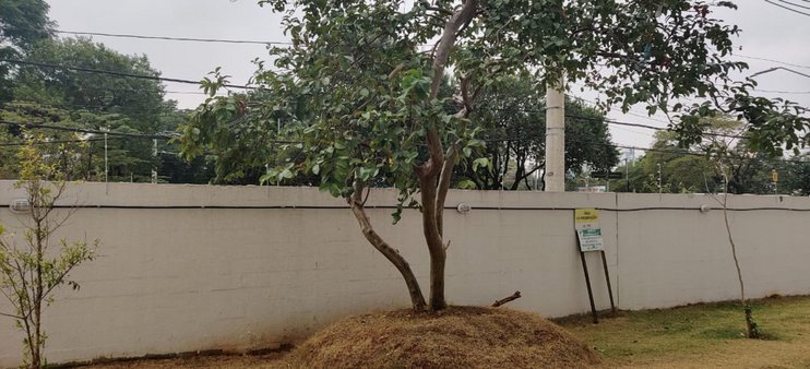 Rua Barão de Iguape - facade09.jpg