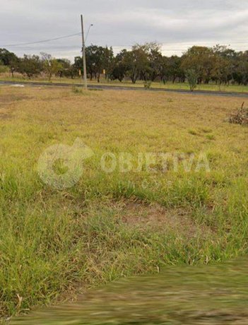 land_lot em Avenida Amsterdã, Jardim Europa - Uberlândia - MG