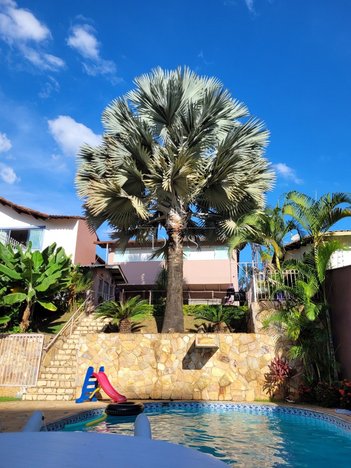 house em Rua Funchal, Ouro Preto - Belo Horizonte - MG