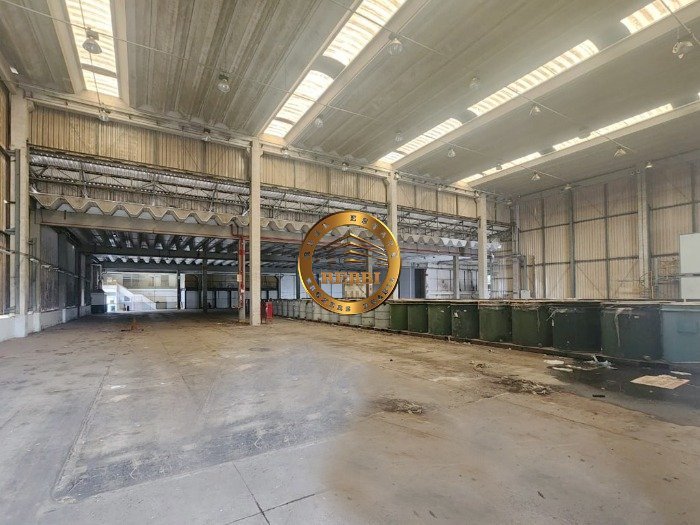 Galpao_Diadema_ref-3775 (7)