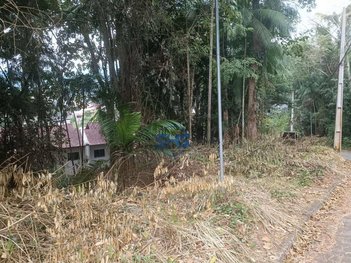 land_lot em Rua Arthur Gieseler, Velha - Blumenau - SC