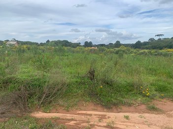 land_lot em Rua José Bajerski, Campo Largo da Roseira - São José dos Pinhais - PR