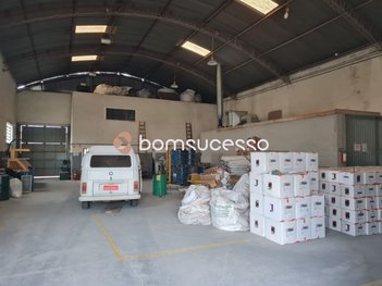 business em Avenida Condeal, Cidade Parque São Luiz - Guarulhos - SP