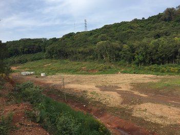 land_lot em Rodovia Ers 122 Linha 40, Linha 40 - Caxias do Sul - RS