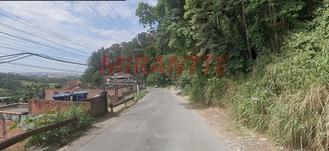 land_lot em Coronel Sezefredo Fagundes, Núcleo do Engordador - São Paulo - SP