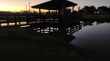 commercial_building em Rodovia Leonardo Bialecki, Argentina - Criciúma - SC