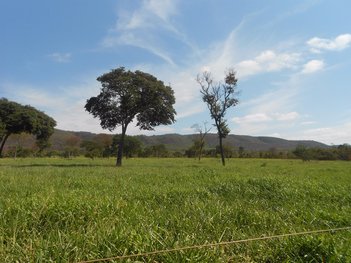 agricultural em Avenida JK, Centro - Buenópolis - MG