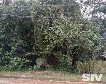 land_lot em Alameda das Jabuticabas, Riviera - Bertioga - SP