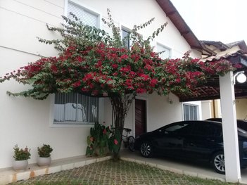 house em Estrada Municipal Walter Steurer, Chácara Pavoeiro - Cotia - SP
