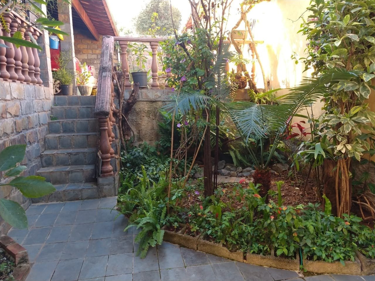 Foto 2