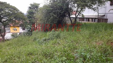 land_lot em Rua Eugênio da Silva, Horto Florestal - São Paulo - SP