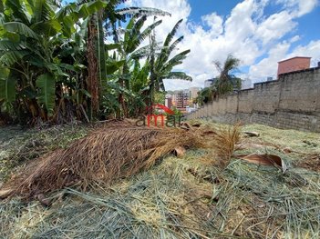 land_lot em Rua Castelo de Óbidos, Castelo - Belo Horizonte - MG