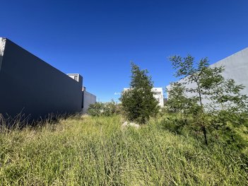 commercial_land_lot em Avenida Armando Fajardo, Igara - Canoas - RS