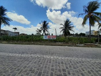 land_lot em Rua Professora Vionete, Passagem de Areia - Parnamirim - RN
