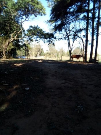 land_lot em Otavio Schemes, Barnabé - Gravataí - RS