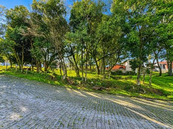 land_lot em Rua Thomas Gonzaga, Panazzolo - Caxias do Sul - RS