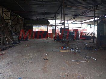 land_lot em Luís Carlos Gentile De Laet, Horto Florestal - São Paulo - SP