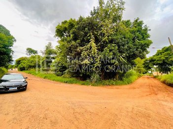 commercial_building em Rua dos Pereiras, Jardim Monte Alegre - Campo Grande - MS
