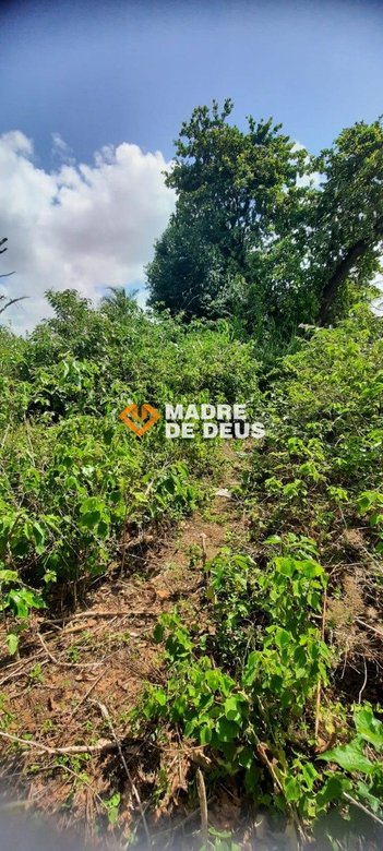 land_lot em Rua Luiz Porfírio Sales, Aracapé - Fortaleza - CE