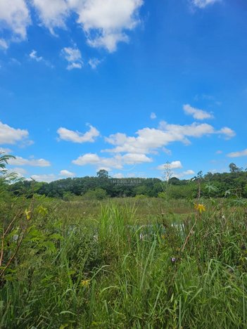land_lot em Estrada Olívio Franhani, Campestre - Piracicaba - SP