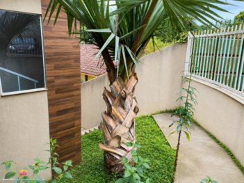 house em Rua Etelvino Dias da Rosa, Pimenteiras - Teresópolis - RJ