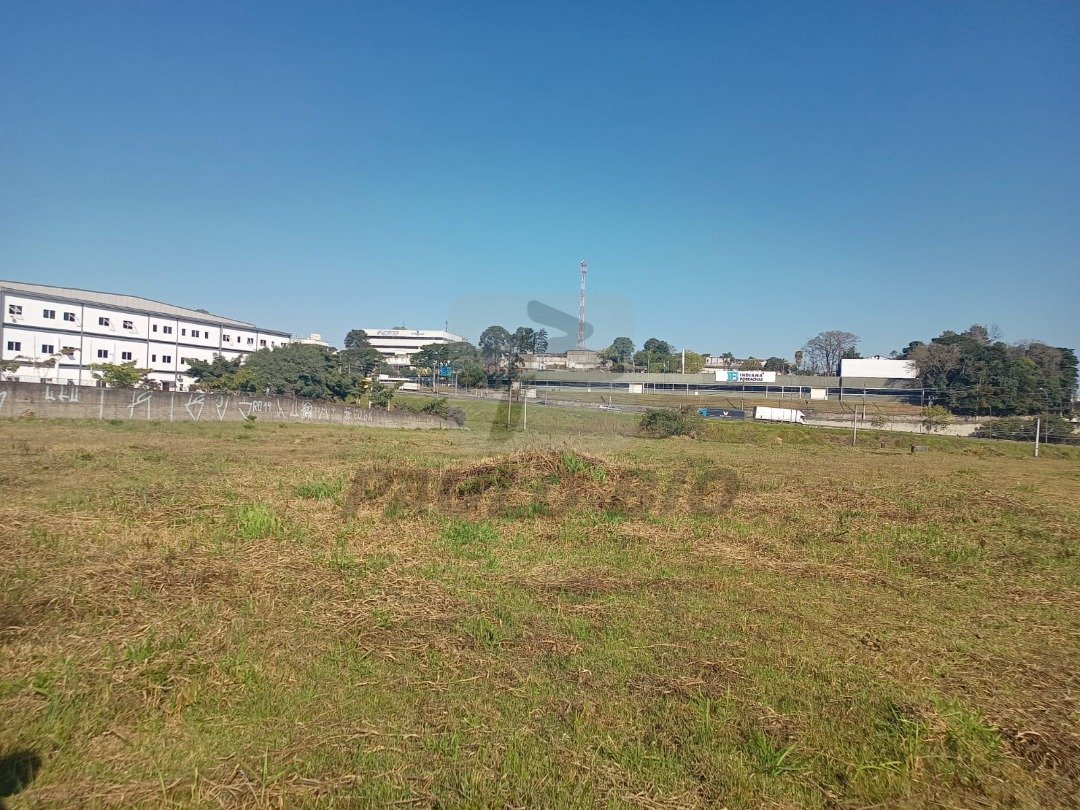 WhatsApp Image 2025-08-04 at 10.10