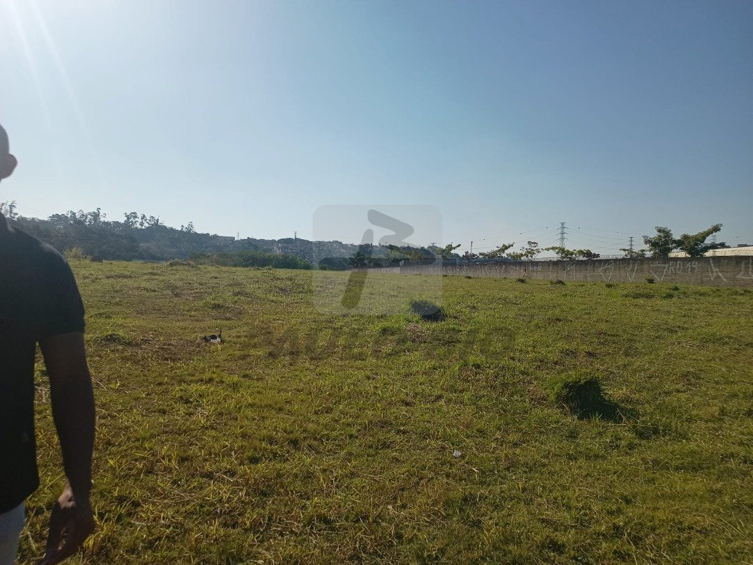 WhatsApp Image 2025-08-04 at 10.10