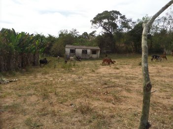 land_lot em Margem Frei Sabino, Nova Holanda - Divinópolis - MG