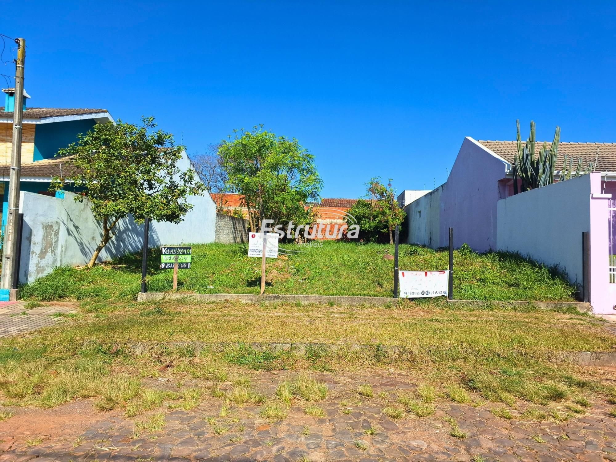 img32028869